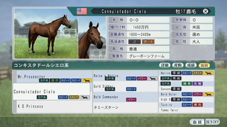 マッキントッシュ　ウイニングポスト２ 2XU レディース ランニング タイツ Aero Mesh Hi-Rise